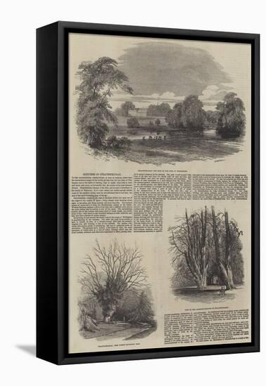 Sketches of Strathfieldsay-Samuel Read-Framed Premier Image Canvas