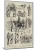 Sketches of the 66th (Berkshire) Regiment-Frank Feller-Mounted Giclee Print