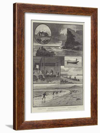 Sketches of the Behring Sea Seal-Fishery, St Paul's, Pribylov Islands-null-Framed Giclee Print