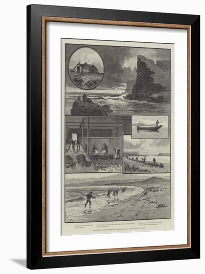 Sketches of the Behring Sea Seal-Fishery, St Paul's, Pribylov Islands-null-Framed Giclee Print