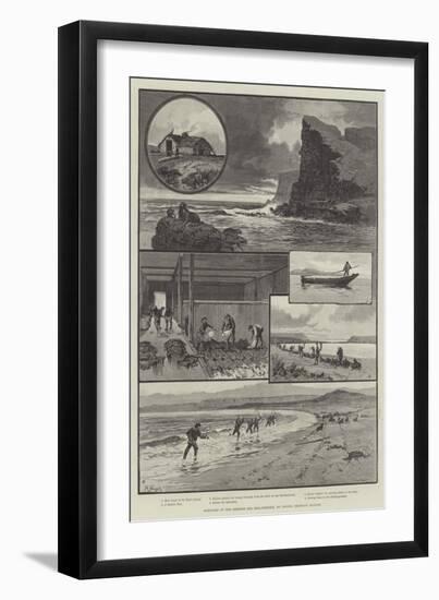 Sketches of the Behring Sea Seal-Fishery, St Paul's, Pribylov Islands-null-Framed Giclee Print