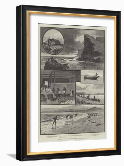 Sketches of the Behring Sea Seal-Fishery, St Paul's, Pribylov Islands-null-Framed Giclee Print