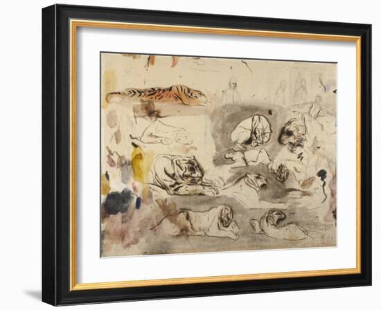 Sketches of Tigers and Men in 16th Century Costume, 1828-29-Eugene Delacroix-Framed Giclee Print
