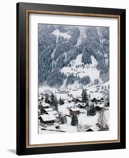 Ski Chalets, Grindelwald, Bern, Switzerland-Walter Bibikow-Framed Photographic Print