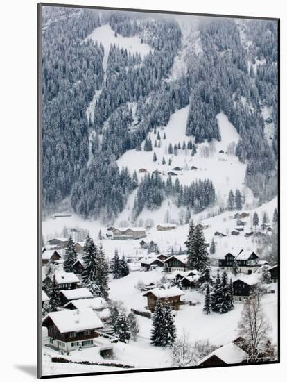 Ski Chalets, Grindelwald, Bern, Switzerland-Walter Bibikow-Mounted Photographic Print