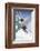 Ski France-Kem Mcnair-Framed Giclee Print