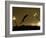 Ski Jumper in Action, Torino, Italy-Chris Trotman-Framed Photographic Print