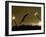 Ski Jumper in Action, Torino, Italy-Chris Trotman-Framed Photographic Print