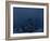 Ski Jumper in Action, Torino, Italy-Chris Trotman-Framed Photographic Print