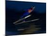 Ski Jumper in Action, Torino, Italy-Chris Trotman-Mounted Photographic Print