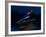 Ski Jumper in Action, Torino, Italy-Chris Trotman-Framed Photographic Print