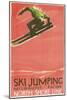 Ski Jumping Poster-null-Mounted Art Print