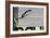 Ski Jumping-NaxArt-Framed Art Print