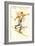 Ski Montana, Vintage Cross Country Skier-null-Framed Art Print