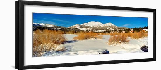 Ski Resort, Mammoth Mountain Ski Area, Mammoth Lakes, Mono County, California, USA-null-Framed Photographic Print