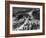 Ski Resort on Mont Tremblant in the Province of Quebec-Alfred Eisenstaedt-Framed Photographic Print