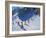 Ski School, Morzine, 2015-Andrew Macara-Framed Giclee Print