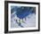 Ski School, Morzine, 2015-Andrew Macara-Framed Giclee Print