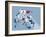 Ski Slopes-null-Framed Giclee Print