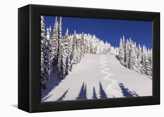 Ski Tracks Off of Lodi at Whitefish, Mountain Resort, Montana, Usa-Chuck Haney-Framed Premier Image Canvas