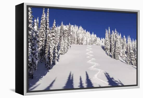 Ski Tracks Off of Lodi at Whitefish, Mountain Resort, Montana, Usa-Chuck Haney-Framed Premier Image Canvas