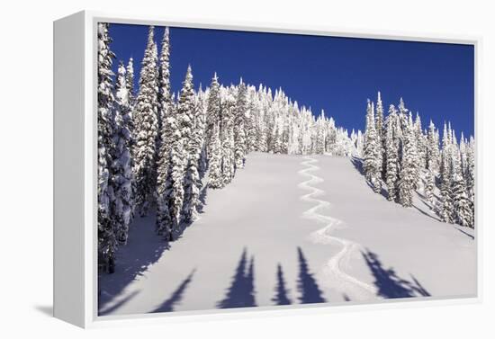Ski Tracks Off of Lodi at Whitefish, Mountain Resort, Montana, Usa-Chuck Haney-Framed Premier Image Canvas