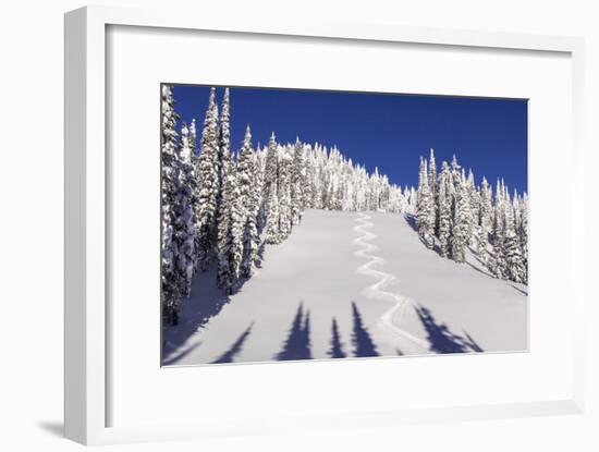 Ski Tracks Off of Lodi at Whitefish, Mountain Resort, Montana, Usa-Chuck Haney-Framed Photographic Print