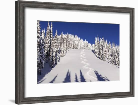 Ski Tracks Off of Lodi at Whitefish, Mountain Resort, Montana, Usa-Chuck Haney-Framed Photographic Print