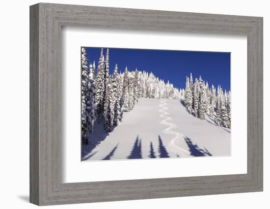 Ski Tracks Off of Lodi at Whitefish, Mountain Resort, Montana, Usa-Chuck Haney-Framed Photographic Print