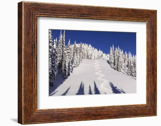 Ski Tracks Off of Lodi at Whitefish, Mountain Resort, Montana, Usa-Chuck Haney-Framed Photographic Print