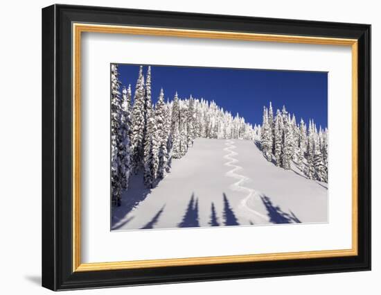 Ski Tracks Off of Lodi at Whitefish, Mountain Resort, Montana, Usa-Chuck Haney-Framed Photographic Print