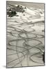 Ski Trails in Snow-null-Mounted Art Print
