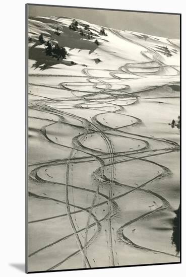 Ski Trails in Snow-null-Mounted Art Print