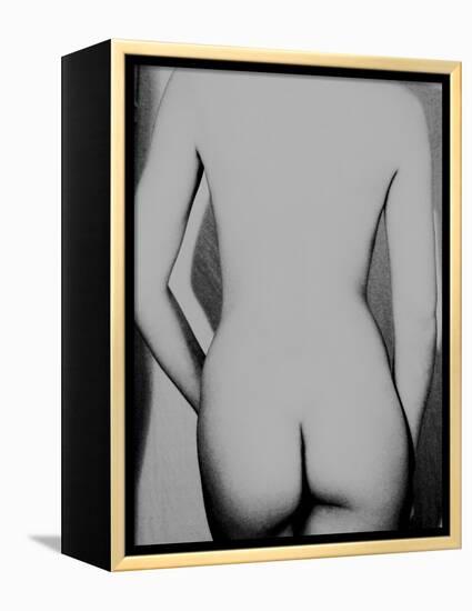 Skidel-India Hobson-Framed Premier Image Canvas