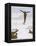 Skier Flies Through the Air-Olaf Gulbransson-Framed Premier Image Canvas