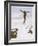 Skier Flies Through the Air-Olaf Gulbransson-Framed Photographic Print