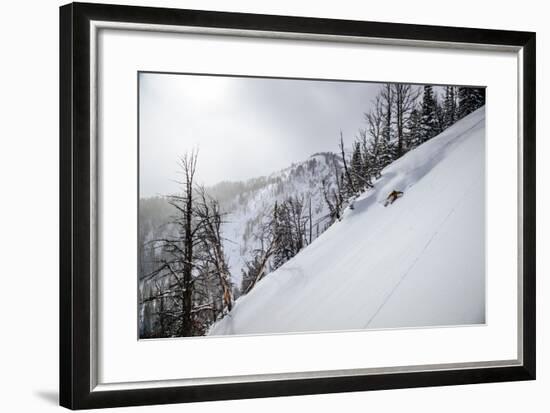 Skier Gets Backlit Powder Deep In The Teton Backcountry After A Massive Winter Storm-Jay Goodrich-Framed Photographic Print