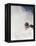 Skier in deep powder at Alta, Utah-Lee Cohen-Framed Premier Image Canvas