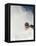 Skier in deep powder at Alta, Utah-Lee Cohen-Framed Premier Image Canvas