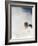 Skier in deep powder at Alta, Utah-Lee Cohen-Framed Photographic Print