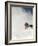 Skier in deep powder at Alta, Utah-Lee Cohen-Framed Photographic Print