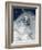 Skier in deep powder snow-Lee Cohen-Framed Photographic Print