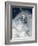 Skier in deep powder snow-Lee Cohen-Framed Photographic Print