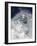 Skier in deep powder snow-Lee Cohen-Framed Photographic Print