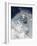 Skier in deep powder snow-Lee Cohen-Framed Photographic Print