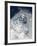 Skier in deep powder snow-Lee Cohen-Framed Photographic Print