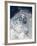 Skier in deep powder snow-Lee Cohen-Framed Photographic Print