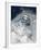 Skier in deep powder snow-Lee Cohen-Framed Photographic Print