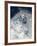 Skier in deep powder snow-Lee Cohen-Framed Photographic Print