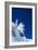 Skier Jumping from Mountain Ledge-null-Framed Photo